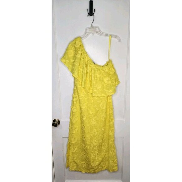 Abbey Glass Sutton Lace 3D Floral Ruffle One Shoulder Midi Dress Size Small NWT - Picture 2 of 5